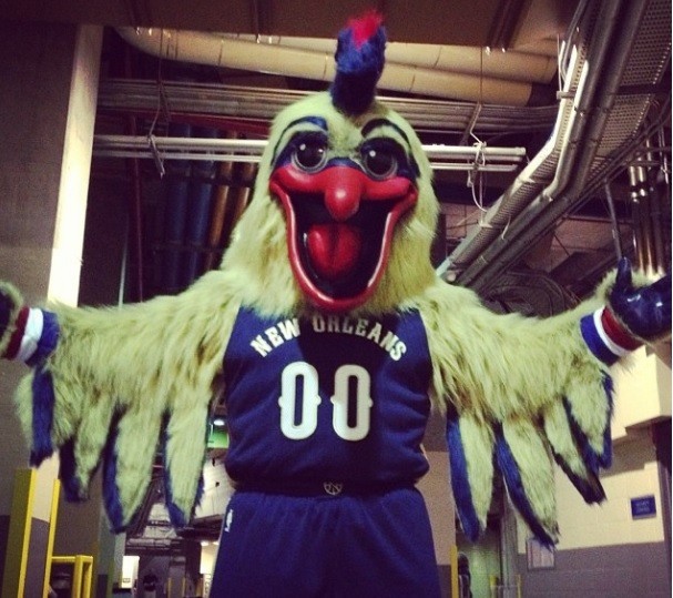 Pierre, mascote do New Orleans Pelicans, vai passar por cirurgia para reconstruir bico