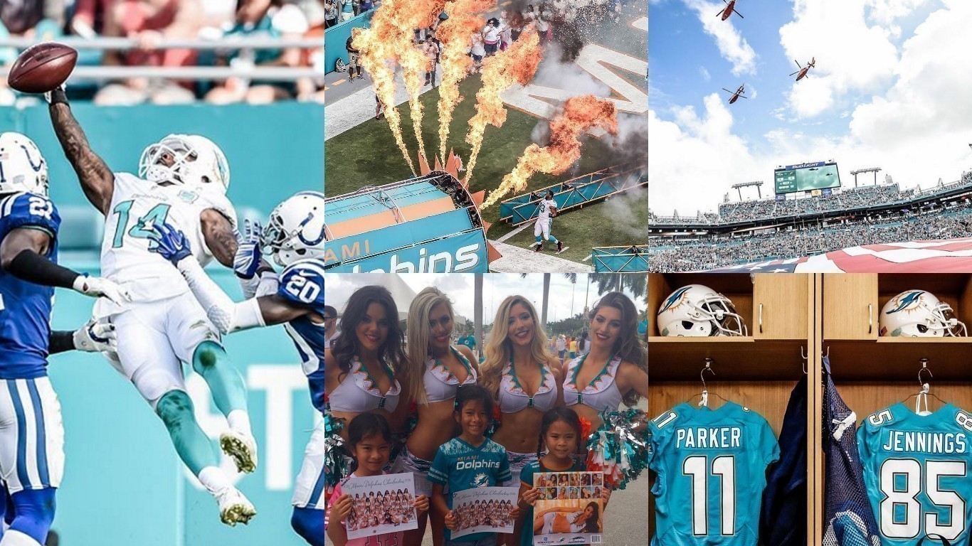 Exclusivo: Quinto Quarto visita Dolphins e tenta ‘entender’ torcida