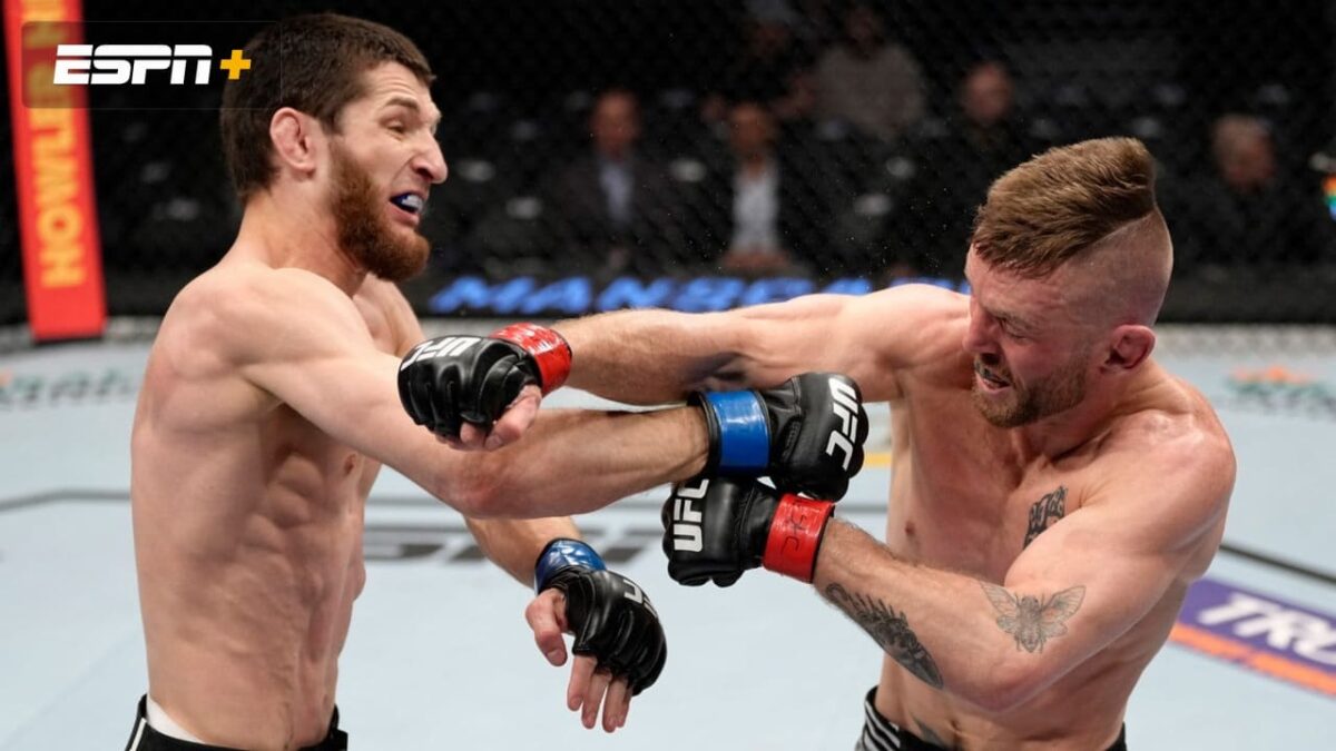 Tim Elliott x Tagir Ulanbekov como aconteceu – Resultado, destaques e reação