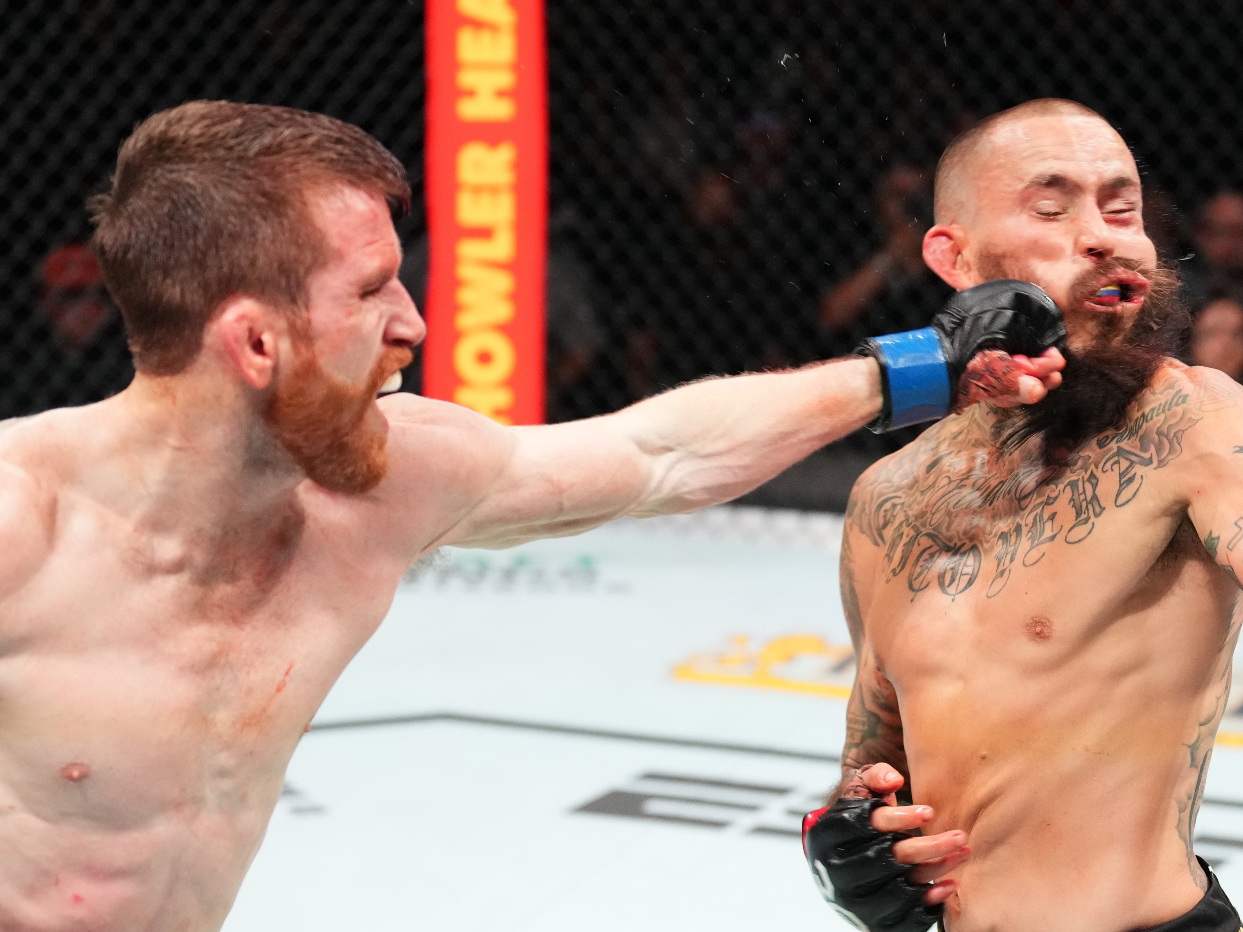 UFC: brasileiro pede que FBI investigue árbitro por decisão polêmica