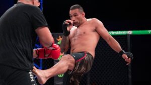 Dirigente da PFL frustra Werdum e bate o martelo sobre futuro de Ngannou