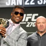 Aplicativo Betnacional: O guia completo para baixar e apostar pelo celular