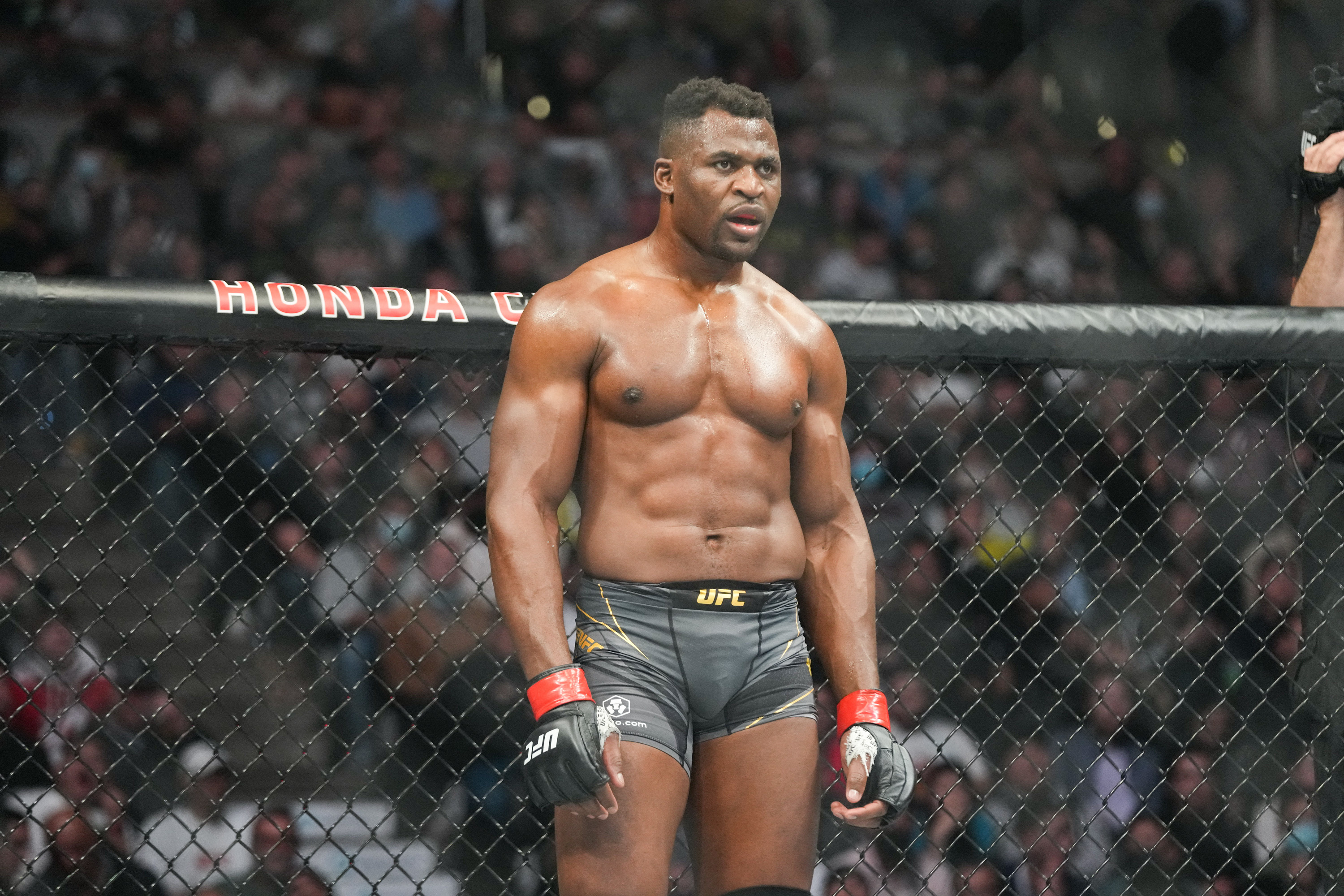 Boxe: Ngannou é alertado sobre possível duelo contra ex-campeão: ‘Você vai dormir’