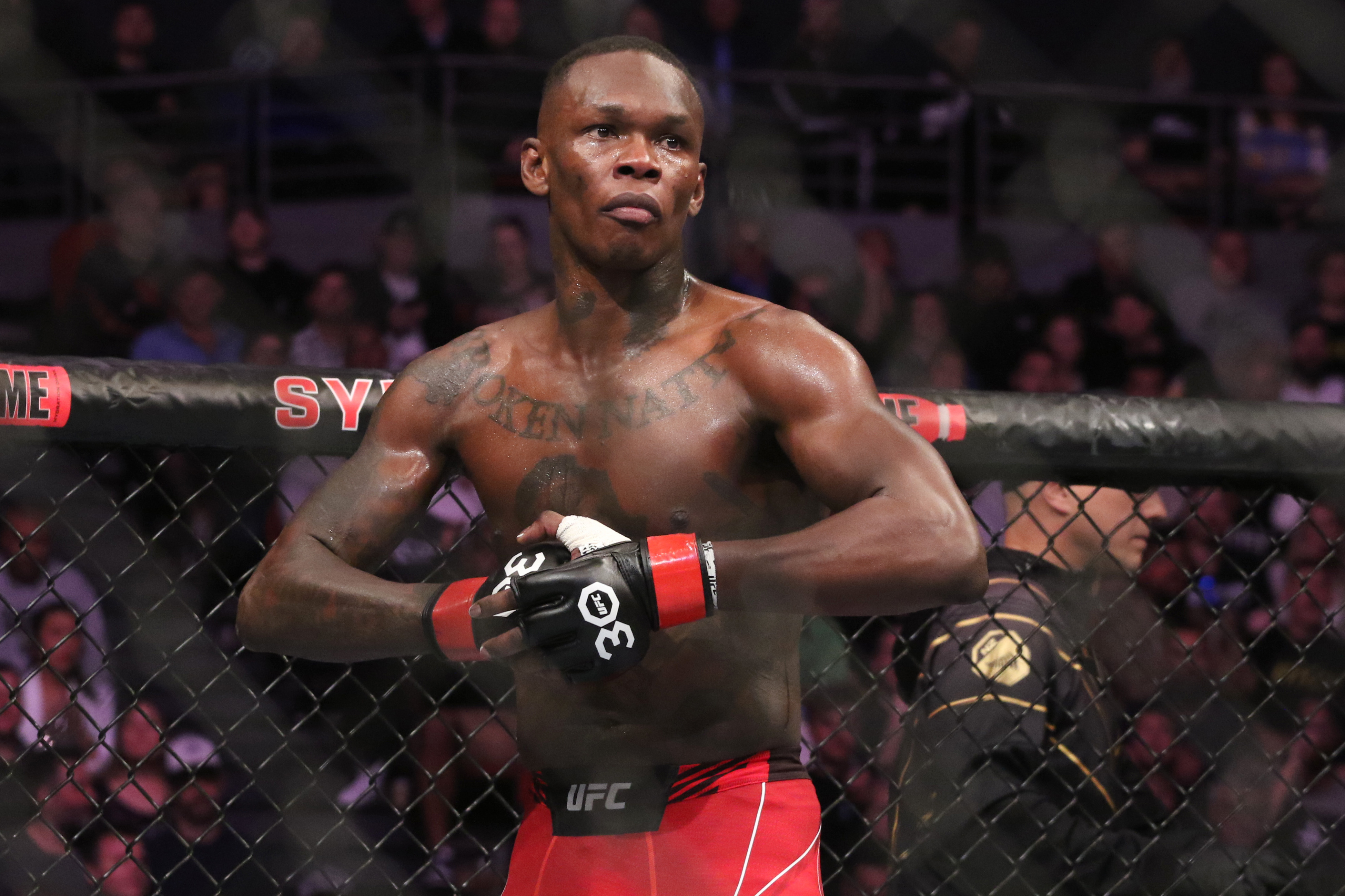 UFC: Adesanya confirma acusação e pode pagar multa de R$ 13 mil por dirigir embriagado