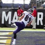 NFL: Astro dos Ravens deve ser desfalque na rodada divisional
