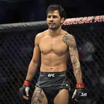 UFC 301: Alexandre Pantoja vs Steve Erceg &ndash; Resultados em tempo real