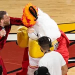 Heat atualiza estado de mascote ap&oacute;s porrada de McGregor e hospital