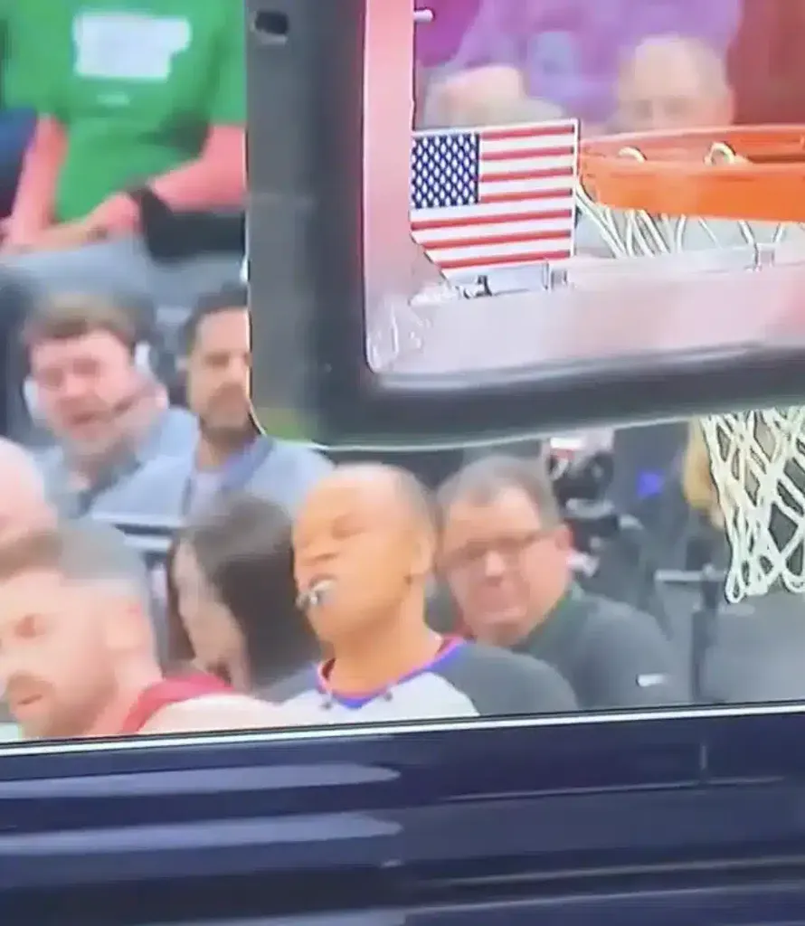 NBA: &aacute;rbitro irrita torcedores com rea&ccedil;&atilde;o inusitada no Heat x Celtics