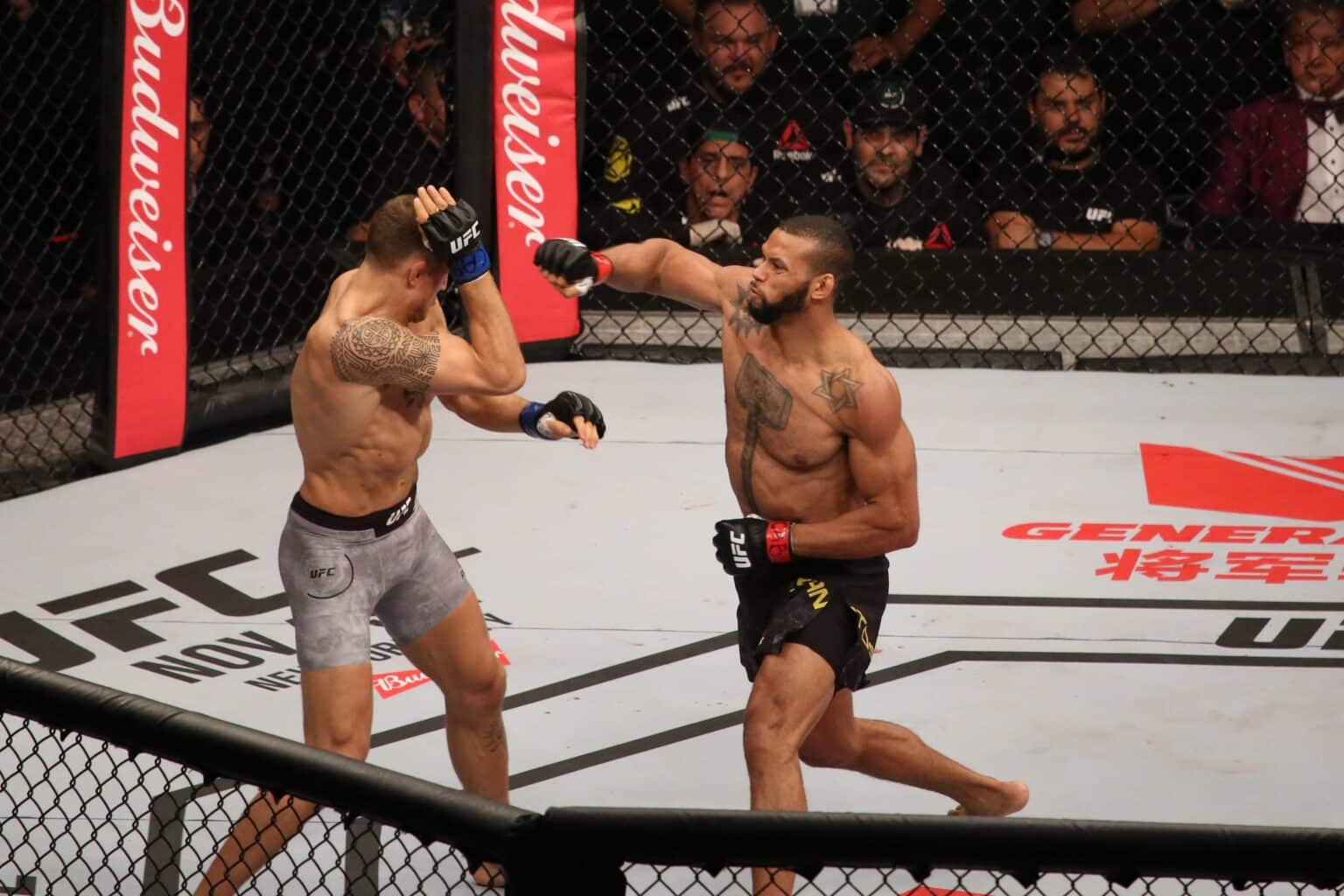 Como assistir UFC ao vivo - 2023 - Quinto Quarto